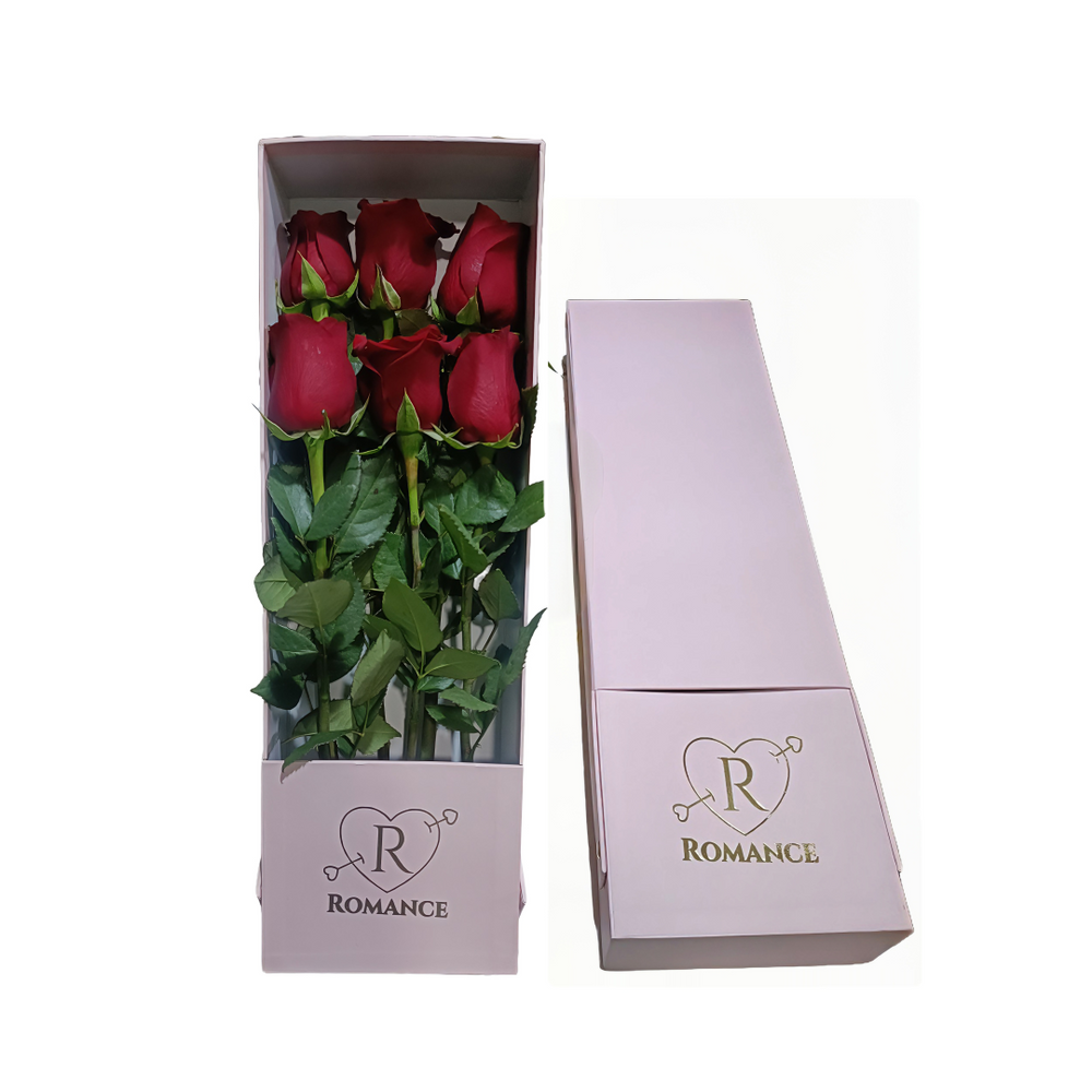 Caja de 06 Rosas Rojas