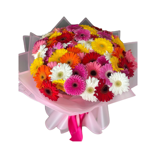 Ramo de 50 Gerberas mixtas